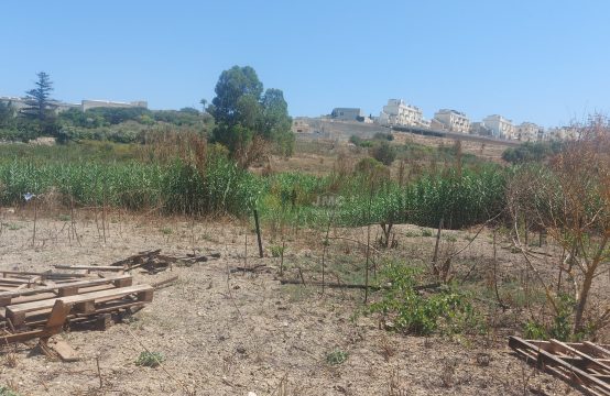 Rabat (Malta) 650sqm Agricultural Field